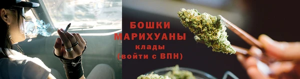 ALPHA PVP Богородицк